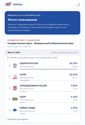 Итоги голосования в Пушкинском округе: введите улицу — и увидите, кто прошёл в вашем округе